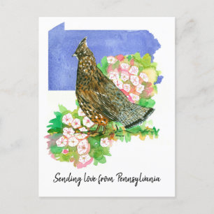 Carte Postale Envoi d'amour Pennsylvanie Grouse Mountain Laurel 