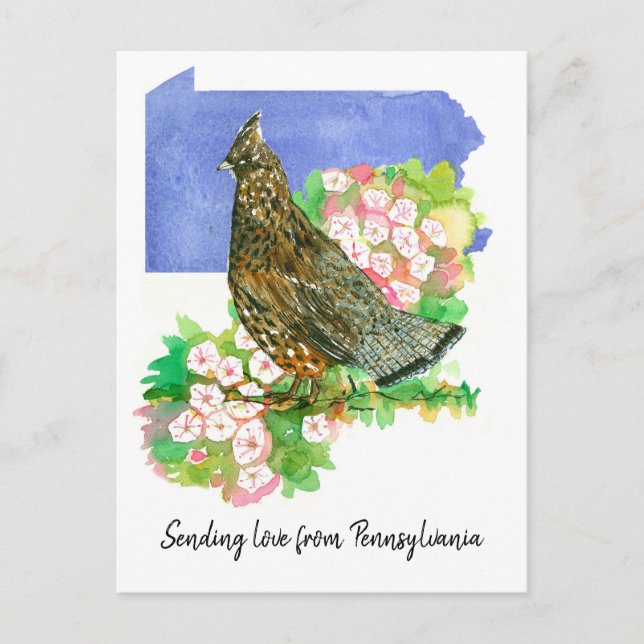Carte Postale Envoi d'amour Pennsylvanie Grouse Mountain Laurel  (Devant)