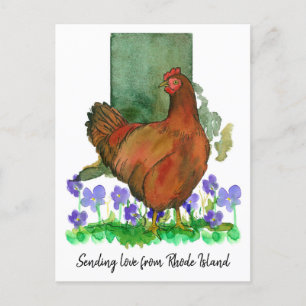 Carte Postale Envoi d'amour Rhode Island Violets de poulet rouge