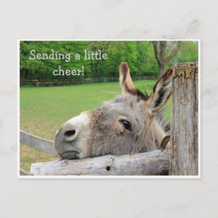 Carte postale "Envoi de joie" Unhappy Donkey