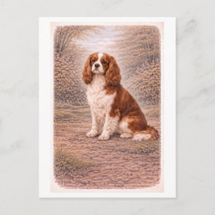 Carte Postale Épagneul Cavalier King Charles de style vintage