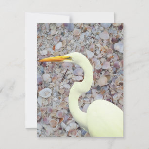 Carte Postale Épée blanche