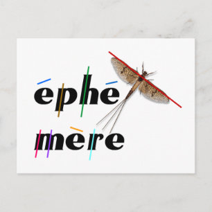 Carte Postale éphémère instantané