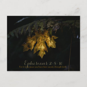 Carte Postale Éphésiens