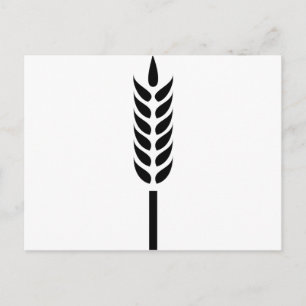 Carte Postale épi de blé céréalier