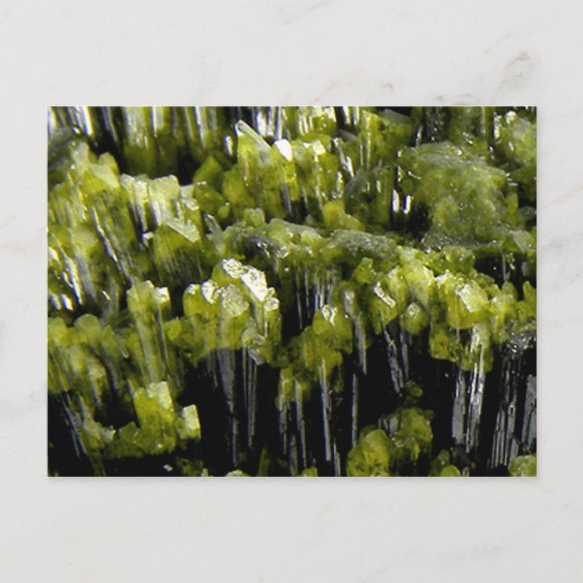 Carte Postale Epidote (Devant)