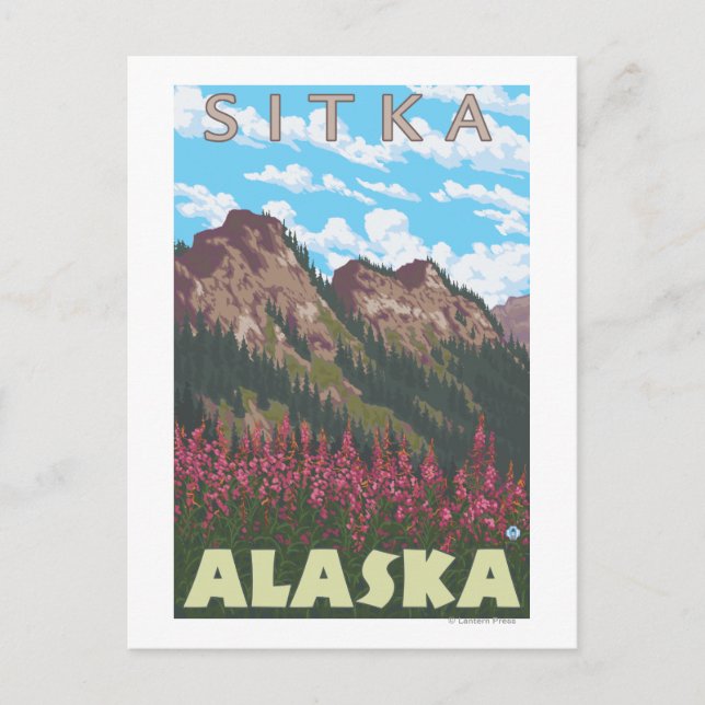 Carte Postale Épilobe & Montagnes - Sitka, Alaska (Devant)