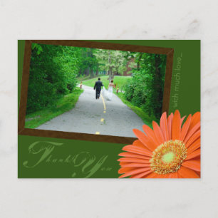 Carte Postale Épouser orange et vert de marguerite de Gerbera de