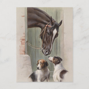 Carte Postale Épouses