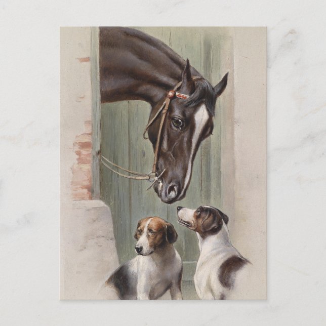 Carte Postale Épouses (Devant)