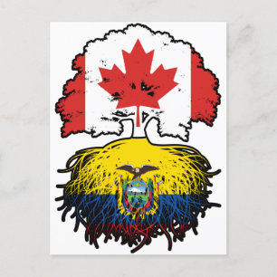Carte Postale Equateur Drapeau canadien équatorien des racines d