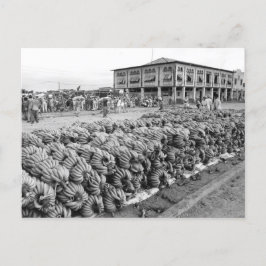 Carte Postale Equateur Peurto Bolivar