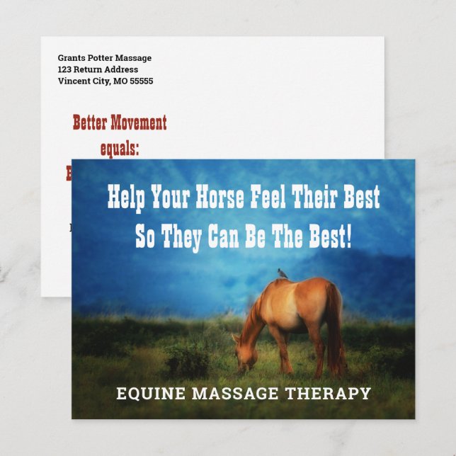 Carte Postale Equine Massage Thérapiste Horse Business Mailer (Devant / Derrière)