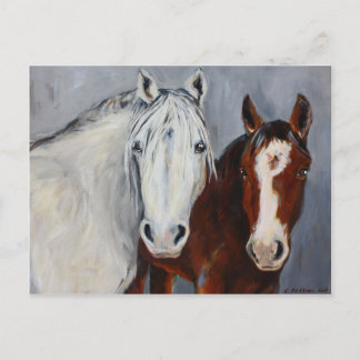 Carte postale Equine Voices Mystic et Wyatt
