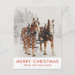 Carte Postale Équipe de Belgique de cheval Wintery Christmas Sce