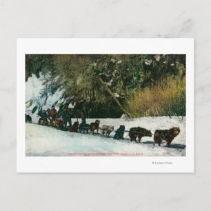 Carte Postale Équipe de chiens du Yukon - Transport de marchandi