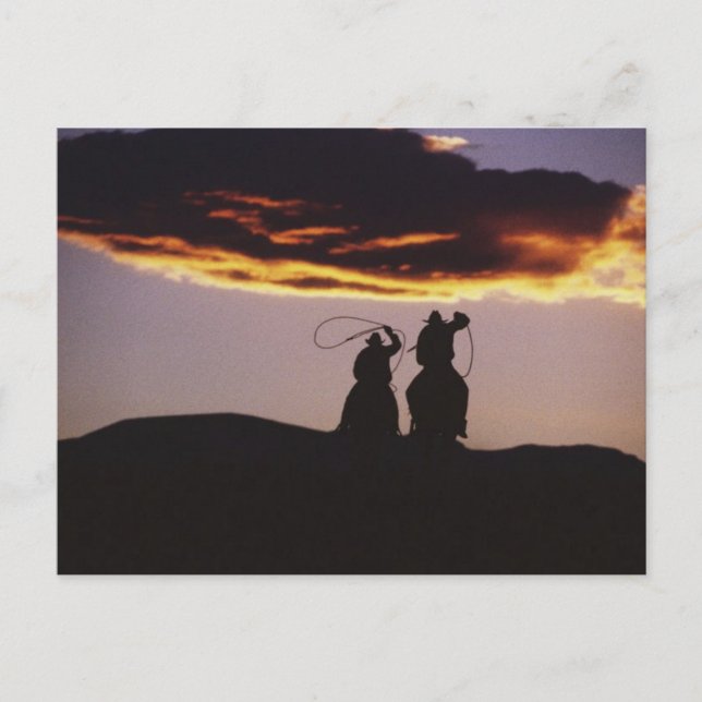 Carte Postale Équipe de Cowboy avec Lassos (Devant)