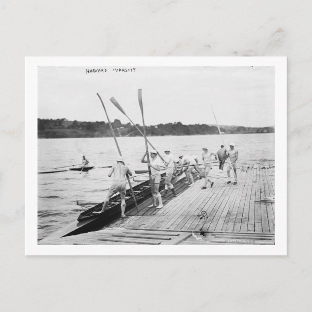 Carte Postale Équipe de remorquage de l'Université Harvard Photo (Devant)