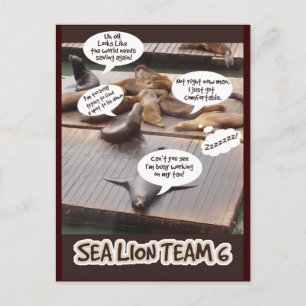 Carte Postale Équipe de Sea Lion Six