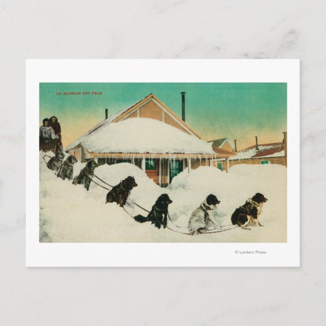 Carte Postale Équipe de traîneau à chiens de l'Alaska reposant d (Devant)