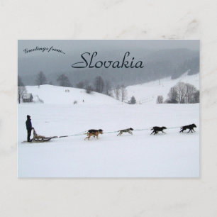 Carte Postale Équipe de traîneau à chiens en hiver en Slovaquie