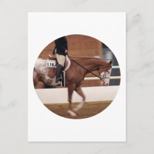 Carte Postale équitation anglaise