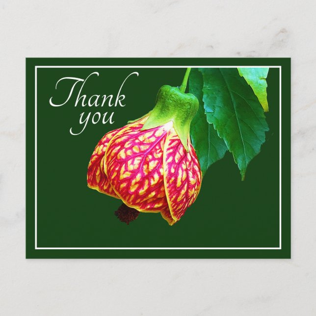 Carte Postale Érable en Fleurs Fond Vert Merci (Devant)
