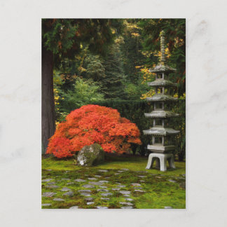 Carte Postale Érable japonais et pagode dans un jardin japonais