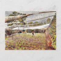 Eric Ravilit art, Filets de fraises