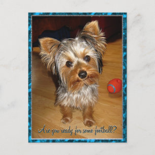 Carte Postale Es-tu prêt pour du football ?