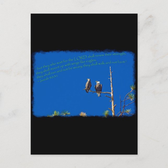 Carte Postale Esaïe 40:31 sur noir (Devant)