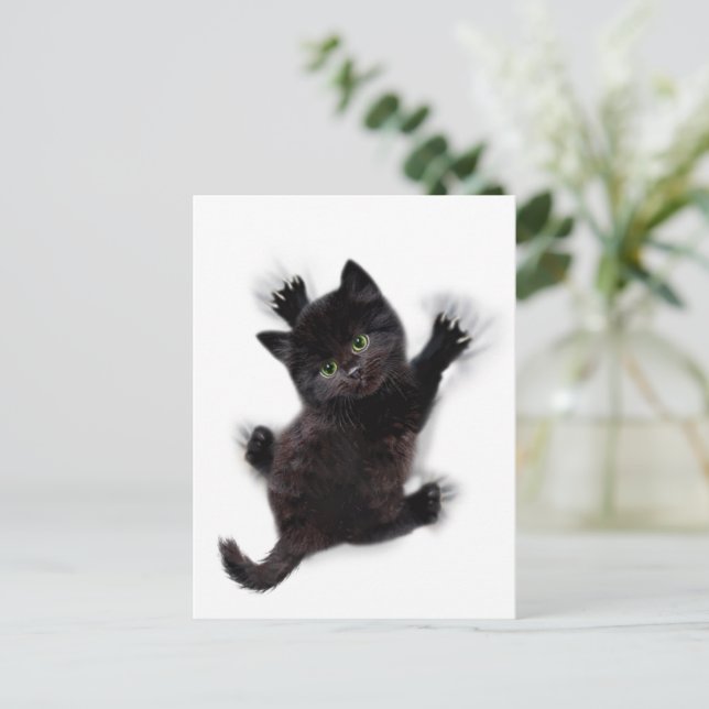 Carte Postale Escalade de chat noir sur le dos humain (Debout devant)