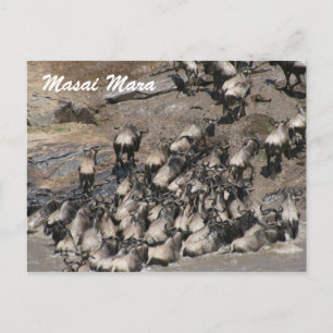 Carte Postale escalade wildebeest