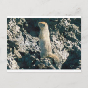 CARTE POSTALE ESCALIER (2)