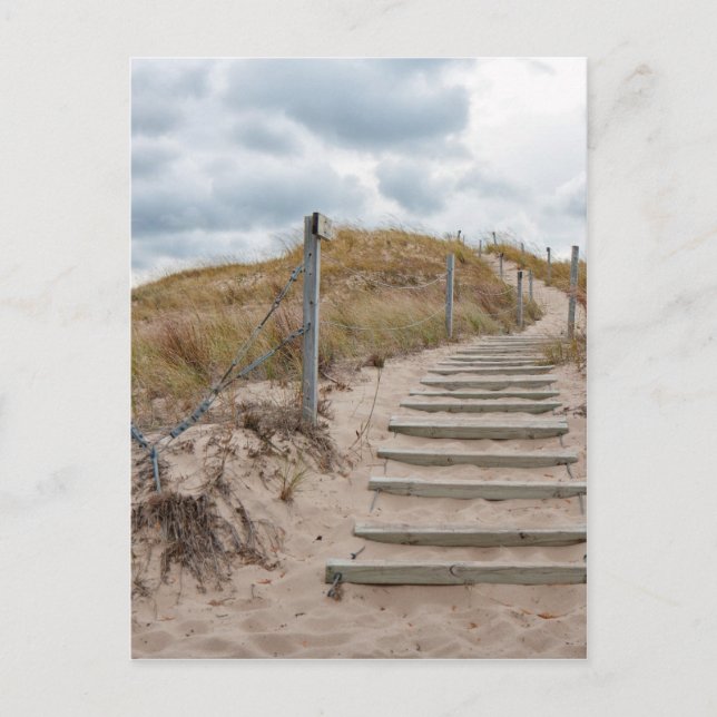 Carte Postale Escalier de dunes (Devant)