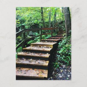Carte Postale escalier du parc d'état des grottes maquoketa