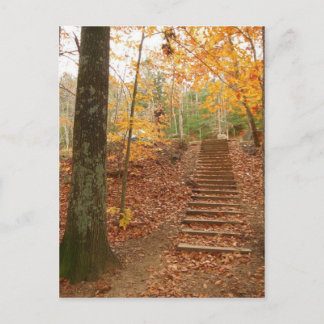 Carte Postale Escaliers en bois magique