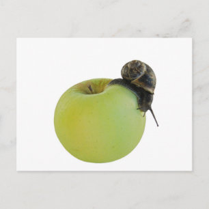 Carte Postale Escargot et pomme
