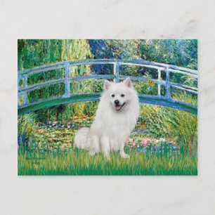 Carte Postale Eskimo Spitz 1 - Pont