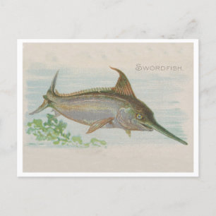 Carte Postale Espadon Pêche Vintage Illustration