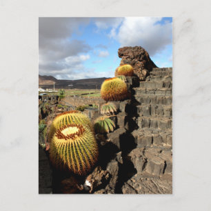 Carte Postale Espagne Lanzarote 04 jardin de cactus