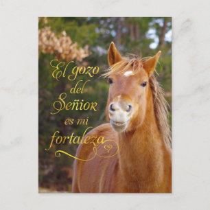 Carte postale espagnole Bible Verse Cheval Sourian