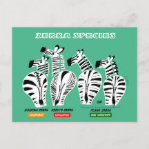 Carte postale Espèces Zebra