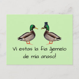 Carte Postale Esperanto: Vi estas la fia ĝemelo de mia anaso!