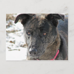 Carte Postale Espoir