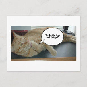Carte Postale Espoir et changement/Humour de chat