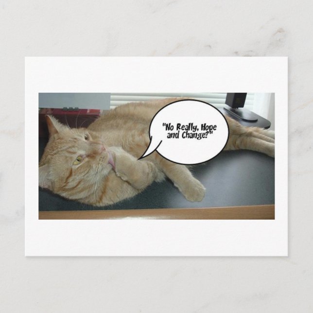 Carte Postale Espoir et changement/Humour de chat (Devant)