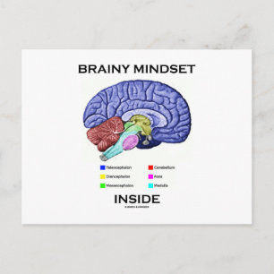 Carte Postale Esprit Brainy à l'intérieur (Cerveau Anatomique)