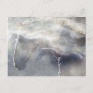 Carte Postale Esprit du cheval