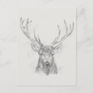 Carte Postale Esquisse d'Elk contemporaine